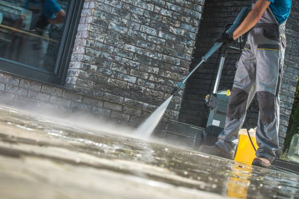 Best Driveway Pressure Washing  in Cicero, IN